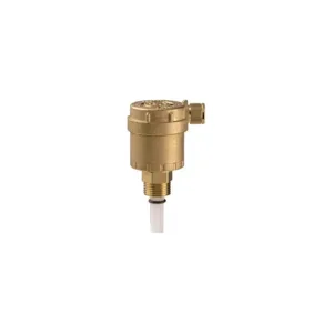 Giacomini purgeur automatique 3/8 "