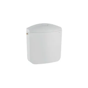 Geberit monobloc blanc chantier nouveau